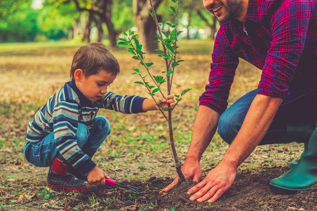 Niño aprendiendo a sembrar un arbol junto a su padre