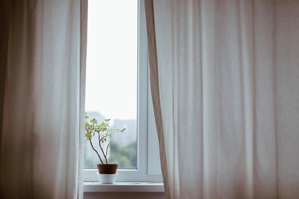 una ventana con una planta