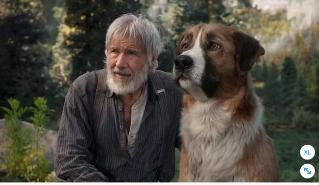 hombre mayor con barba junto a un perro grande