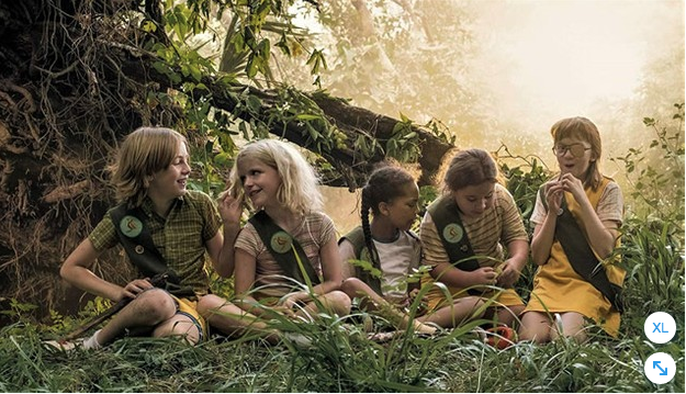 niñas scouts en una selva