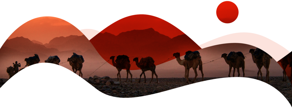 textura con camellos en el desierto