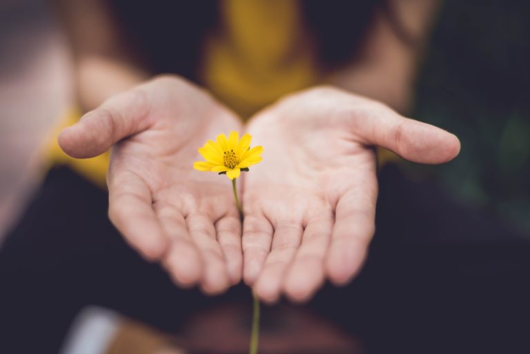 Mano con una flor amarilla