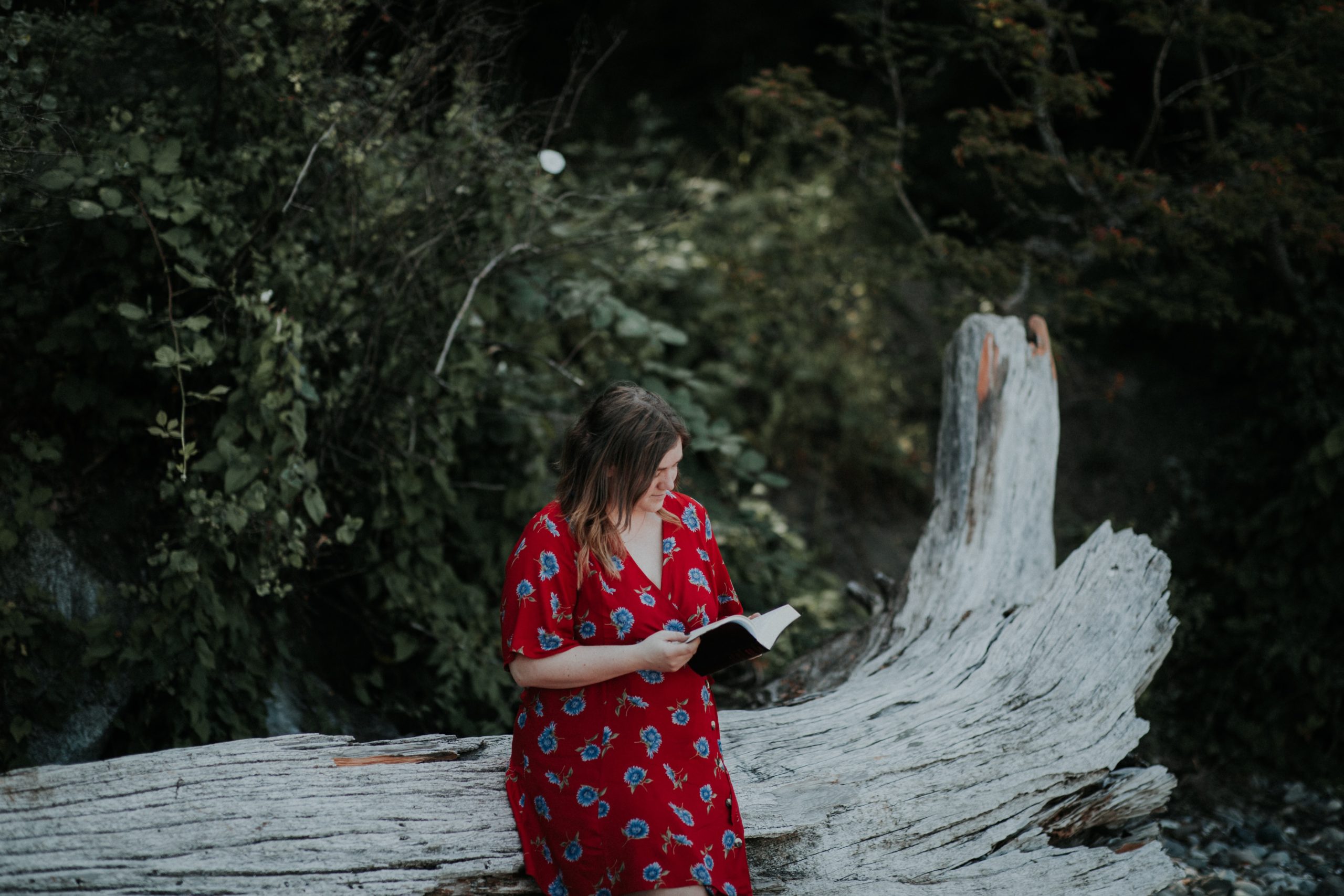 Mujer con vestido rojo sosteniendo una bilbia en la naturaleza