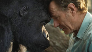 Un hombre apoyando su cabeza en la frente de un gorila, Escena de la pelicula EL MAGNĺFICO IVAN
