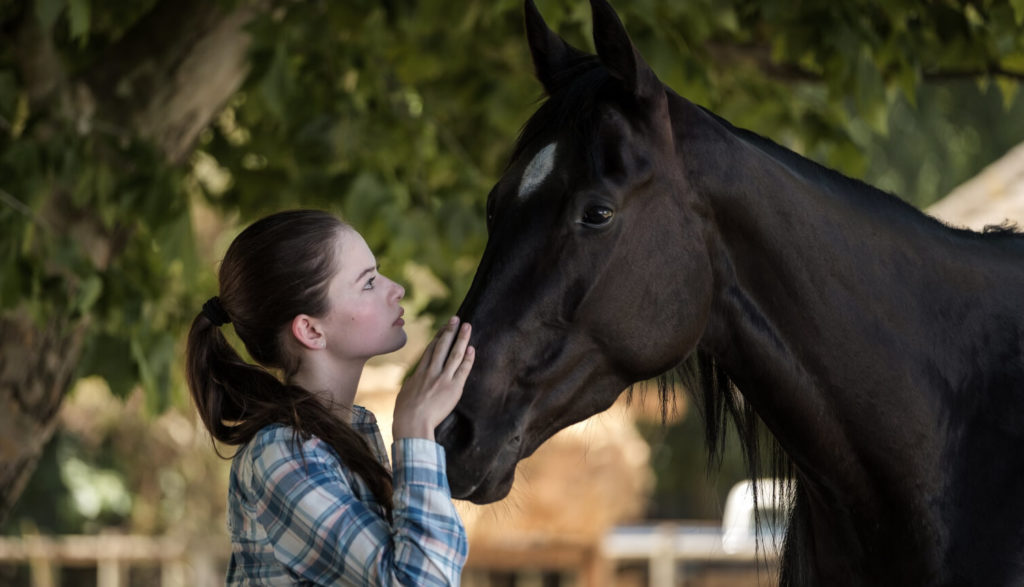 Mujer acariciando a un caballo negro, Escena de pelicula BLACK BEAUTY